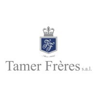 Tamer Freres SAL logo - Similar company to Tempay