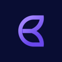 Bravura FinTech logo - Similar company to Dai Teknoloji Anonim Şirketi
