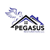 Pegasus Restoration LLC logo - Similar company to Assured Development Group