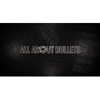 ALL ABOUT BULLETS logo - Similar company to We Create Warriors