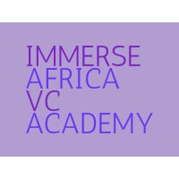 Immerse Africa VC Academy logo - Similar company to Fundall