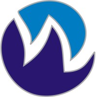 Webskynet IT Solution logo - Similar company to Fiyoti