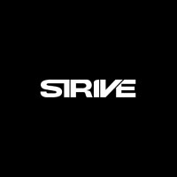 Strive Industries logo - Similar company to Picsnippets