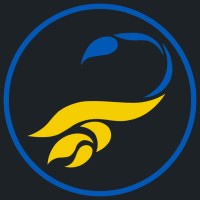 Scorpion Technolösung logo - Similar company to Boehm Group Gmbh