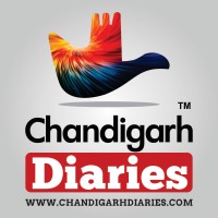 Chandigarh Diaries logo - Similar company to Viem Collective