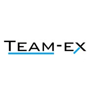 TEAM EX logo - Similar company to Teamex