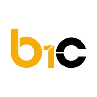 Consulting B1 logo - Similar company to It-This Consulting