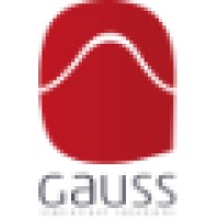 Gauss Statistical Solutions logo - Similar company to Appnava