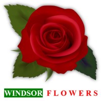WINDSOR FLOWERS LIMITED logo - Similar company to Ramani Warehouse Ltd