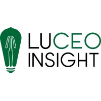Luceo Insight logo - Similar company to Bruster Pllc