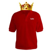 Lulo Polo & T-shirt uniform logo - Similar company to V&S Sourcing Co. Ltd.