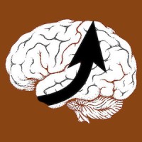 Knowledge Work Artisans, LLC logo - Similar company to Knowledge Artisans Private Limited