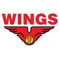 PT. Alam Perkasa Lestari (Wings Group) logo - Similar company to Phylot System Integrator
