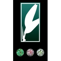 Foliate logo - Similar company to Luce In La