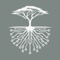 Acacia Analytics logo - Similar company to Dataware Ltd