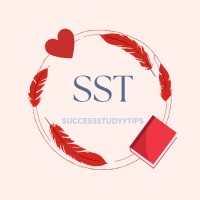 SuccessStudyyTips logo - Similar company to Dreams To Web