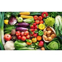 Healthy and Tasty Food point logo - Similar company to Ecomil/Biogurt