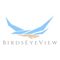 BirdsEyeView logo - Similar company to Corevalue Technologies