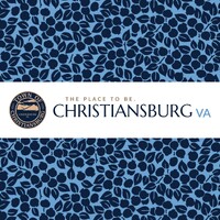 Town of Christiansburg, VA logo - Similar company to Aladdin'S Natural Eatery Ii, Ltd.