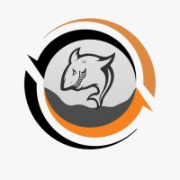 MyndMegs IT Solutions logo - Similar company to Webpetal Software Pvt. Ltd.