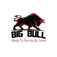 BIG BULL BPO logo - Similar company to Bigbull Technologies