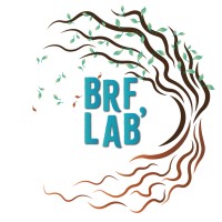 BRF Lab' logo - Similar company to Riego