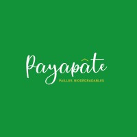 Payapâte logo - Similar company to Genisoft