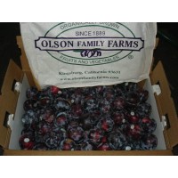 Olson Family Farm/Gall Family Farm