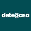 DETEGASA logo - Similar company to Progener (Propulsión Y Generación S.A.)