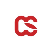 Controlis logo - Similar company to Dagis A.S.
