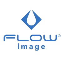 Flow Image logo - Similar company to Vimatek México