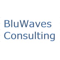 BluWaves Consulting logo - Similar company to Ssed Consulting