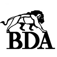 BDA Centrale Lyon (Bureau des Arts) logo - Similar company to Pixels - Ecole Centrale De Lyon