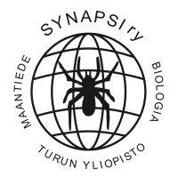 Synapsi ry logo - Similar company to Nucleus Ry