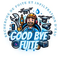 Good Bye Fuite logo - Similar company to Détecte Fuite Sàrl