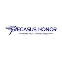 PT PEGASUS HONOR INDONESIA logo - Similar company to Nodge+