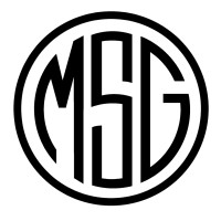 M.S. GROUP S.R.L. logo - Similar company to Stehouse Srl