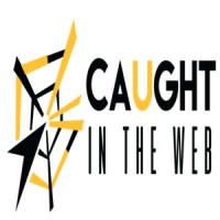 Caught In The Web logo - Similar company to Clc Solutions