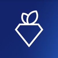 Rare Carat logo - Similar company to Circa