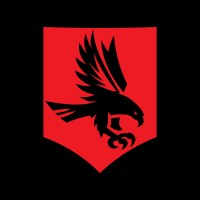 Cyber Hawks logo - Similar company to Tech Profuse Pty Ltd