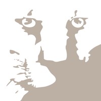 Mountain Lion Foundation logo - Similar company to Clean Creatives