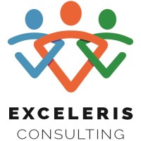 Exceleris Consulting logo - Similar company to Ensighted