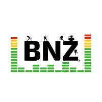 BNZ logo - Similar company to Digidi - Digital Distribution