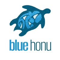 Blue Honu Design logo - Similar company to Dynamic Results Network