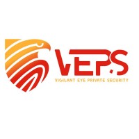 Vigilant Eye Security INC. logo - Similar company to Distributed Security, Inc.