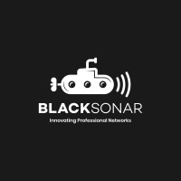 BlackSonar logo - Similar company to Vortex Cloud