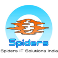 Spiders IT Solutions India Pvt Limited logo