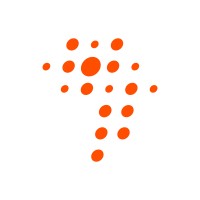 Liptinfor Niger logo - Similar company to Ninetec Niger