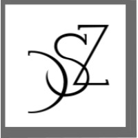 DSZ logo - Similar company to Dsz
