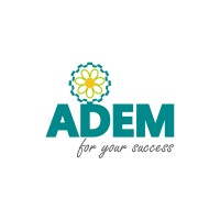 ADEM logo - Similar company to Andelec